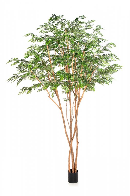 57711N-iskusstvennoe-derevo-murrayya-gigant-320-cm